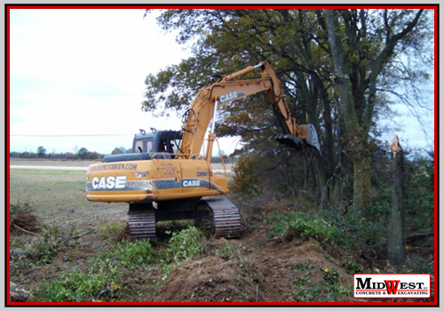 tree-removal